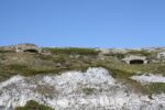 hkb_5-971_boerselvnes_2019_016