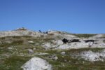 hkb_5-971_boerselvnes_2019_017