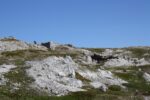 hkb_5-971_boerselvnes_2019_020
