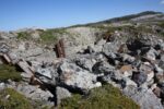 hkb_5-971_boerselvnes_2019_024