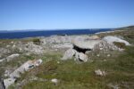 hkb_5-971_boerselvnes_2019_027