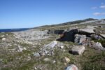 hkb_5-971_boerselvnes_2019_028