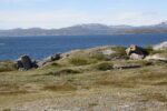 hkb_5-971_boerselvnes_2019_034