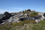 hkb_5-971_boerselvnes_2019_042