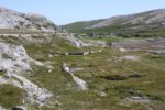 hkb_5-971_boerselvnes_2019_075