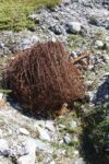 hkb_5-971_boerselvnes_2019_095
