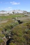 hkb_5-971_boerselvnes_2019_099