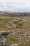 hkb_5-971_boerselvnes_2025_006