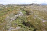 hkb_5-971_boerselvnes_2025_007