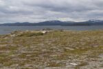 hkb_5-971_boerselvnes_2025_008