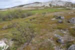 hkb_5-971_boerselvnes_2025_009
