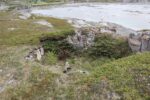 hkb_5-971_boerselvnes_2025_010