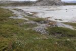 hkb_5-971_boerselvnes_2025_021