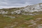 hkb_5-971_boerselvnes_2025_028