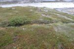 hkb_5-971_boerselvnes_2025_030