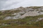 hkb_5-971_boerselvnes_2025_032