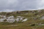 hkb_5-971_boerselvnes_2025_033