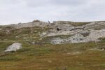 hkb_5-971_boerselvnes_2025_034