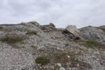 hkb_5-971_boerselvnes_2025_035