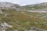 hkb_5-971_boerselvnes_2025_074