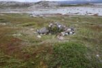 hkb_5-971_boerselvnes_2025_088