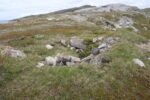 hkb_5-971_boerselvnes_2025_089