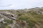 hkb_5-971_boerselvnes_2025_091