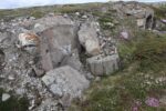 hkb_5-971_boerselvnes_2025_092
