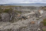 hkb_5-971_boerselvnes_2025_098