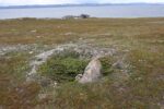 hkb_5-971_boerselvnes_2025_100