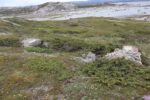 hkb_5-971_boerselvnes_2025_109