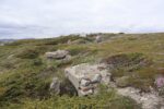 hkb_5-971_boerselvnes_2025_110