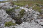 hkb_5-971_boerselvnes_2025_123