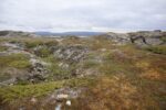 hkb_5-971_boerselvnes_2025_124