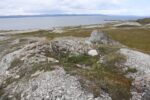hkb_5-971_boerselvnes_2025_127