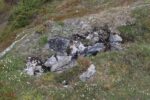hkb_5-971_boerselvnes_2025_135