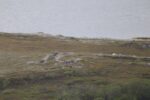hkb_5-971_boerselvnes_2025_139