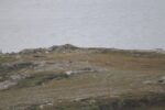 hkb_5-971_boerselvnes_2025_140