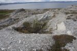 hkb_5-971_boerselvnes_2025_142