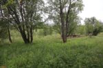 hkb_5-974_straumoey-nord_2023_008