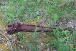 hkb_5-974_straumoey-nord_2023_065