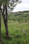 hkb_5-974_straumoey-nord_2023_097
