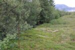 hkb_5-974_straumoey-nord_2023_160
