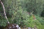 hkb_5-974_straumoey-nord_2023_180