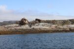 hkb_6-478_gullsmedvika_2025_003