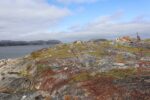 hkb_6-478_gullsmedvika_2025_005