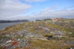 hkb_6-478_gullsmedvika_2025_006