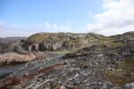 hkb_6-478_gullsmedvika_2025_021