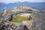 hkb_6-478_gullsmedvika_2025_029