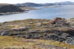 hkb_6-478_gullsmedvika_2025_049